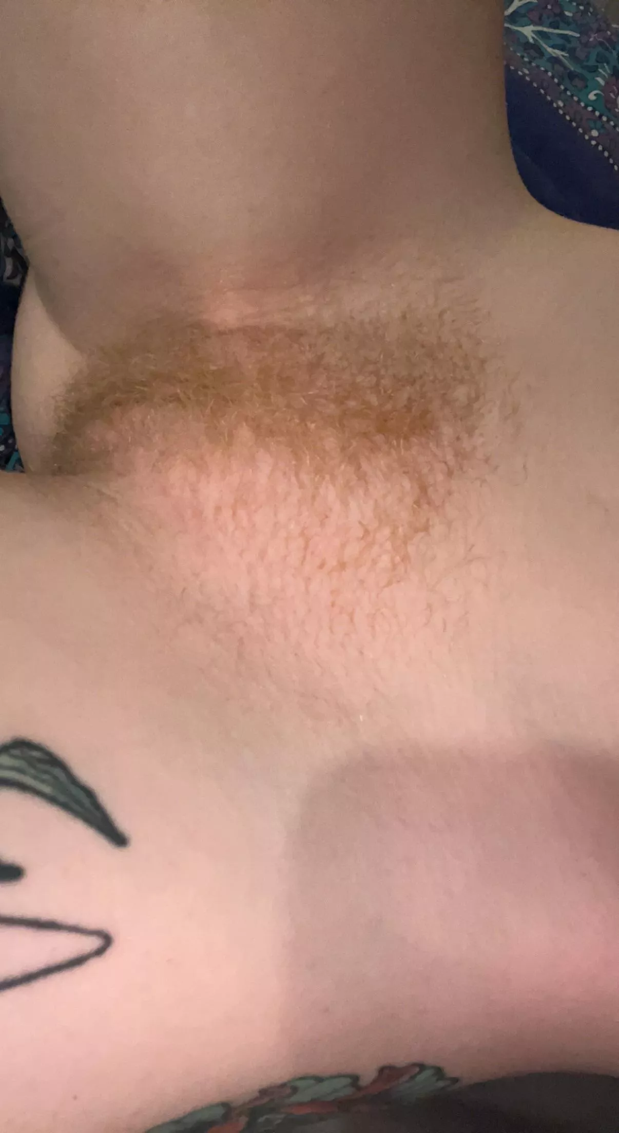 Ginger treat posted by mushroomtriq