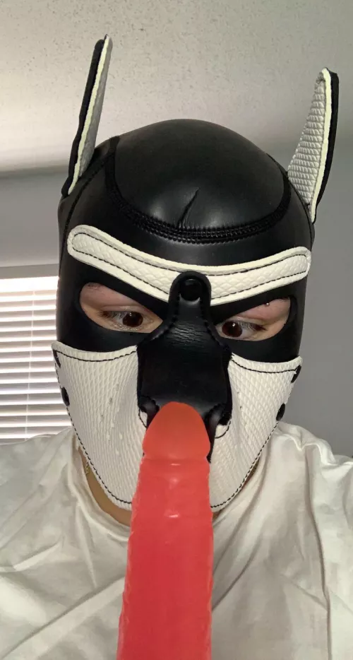 Give a dog a bone, or whatever they say ;))) by trans_mutt_