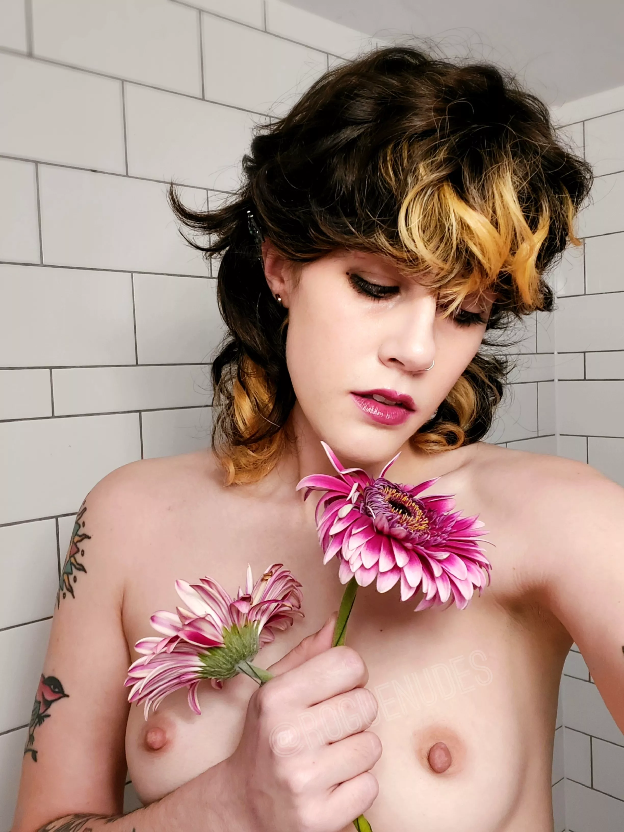 Give a nibble? posted by roguenudez