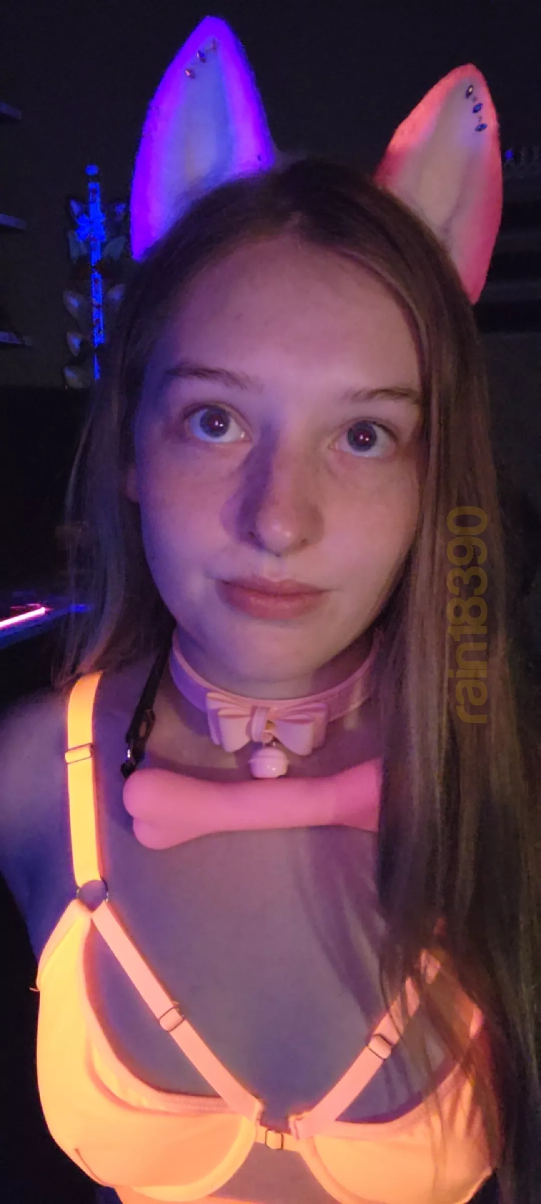 glowing kitten 😸 posted by rain18390