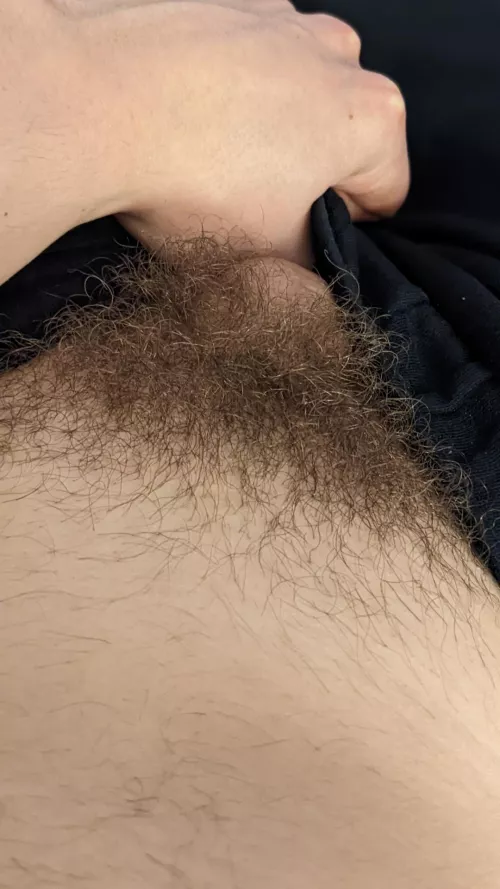 go ahead and pull it out by me_him_