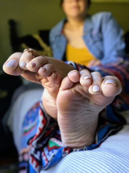 Go ahead... Don't be shy, I don't bite by ZazzyZebra