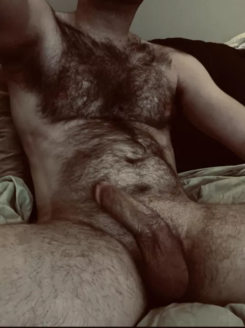 Go for a ride? by Dad15283