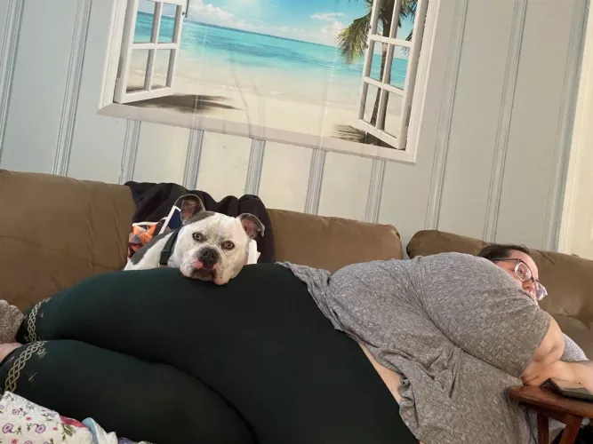 God I’m such a whale by MissFeedThePig