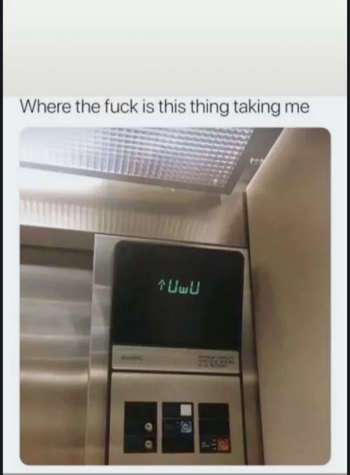 going to UwU~ floor. by Sylvester231