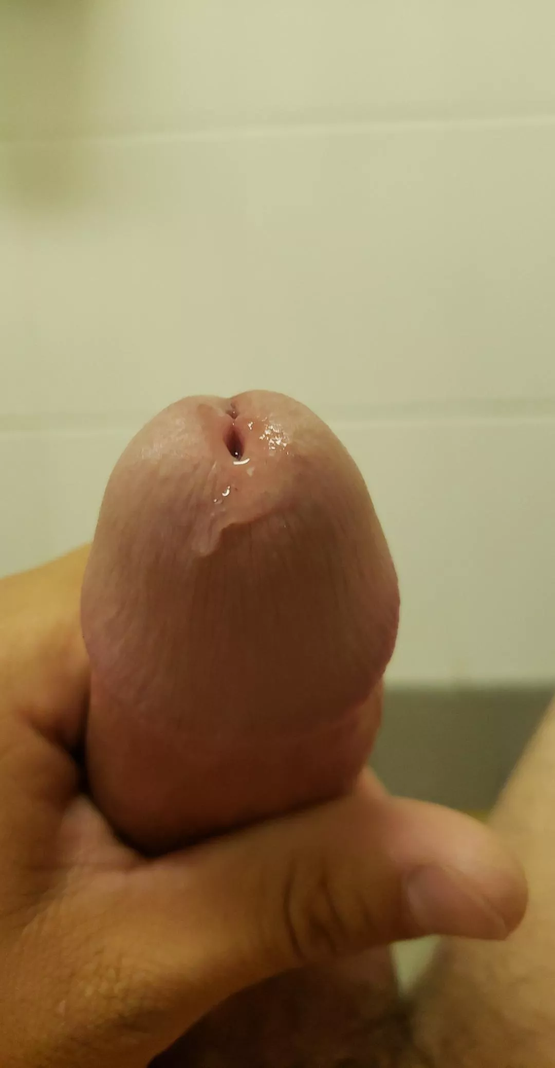 Gonna be a good one tonight posted by SevenStacked