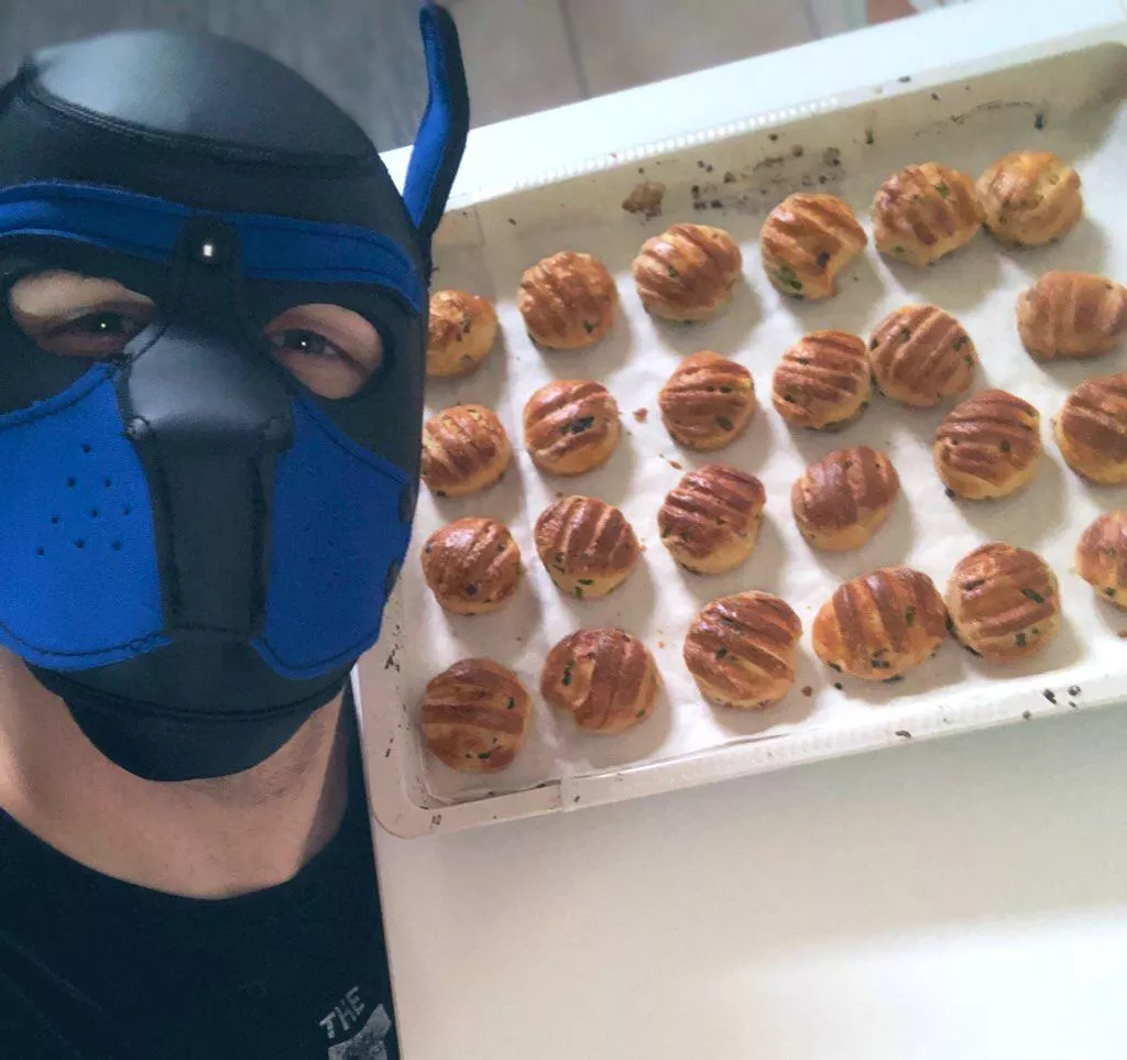 Gonna surprise the boyfriend with homemade snacks. Yup, this doggo can bake!🤫 posted by greycat23