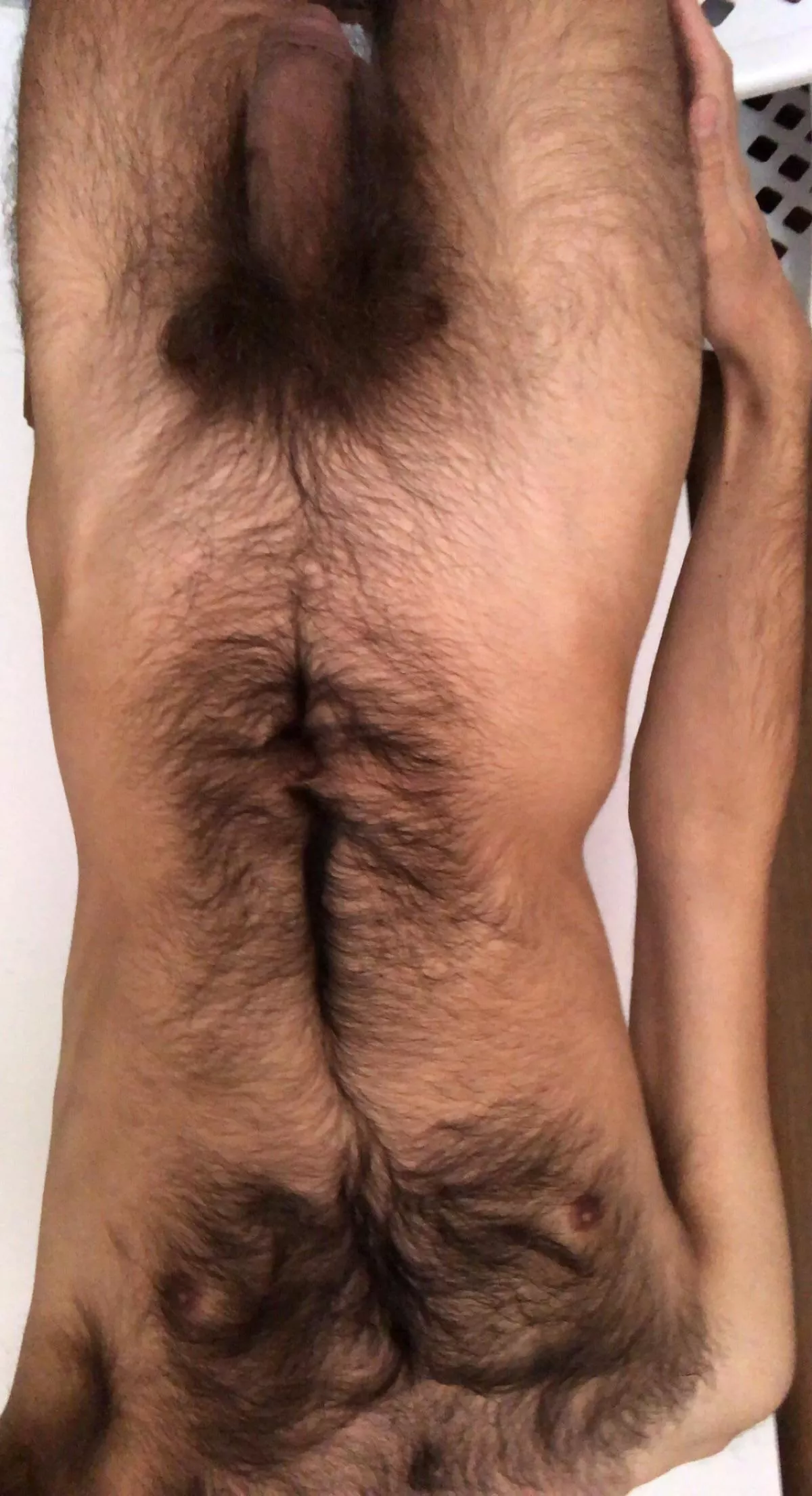 Good boy (23) posted by 88butterfly88