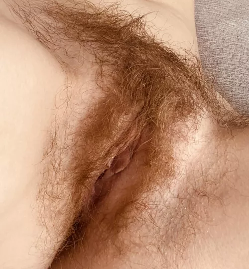 Good evening 🥰 by Big-Pepper-