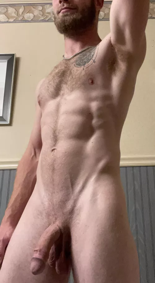 Good evening by Platnium-knight117