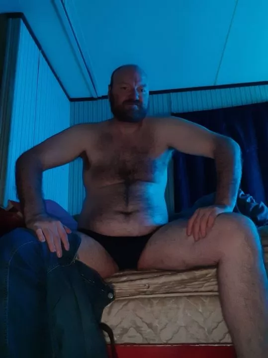 good evening and bear hugs posted by Own_Motor_9876