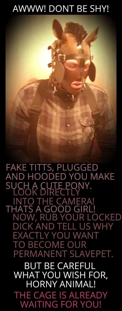 Good Horsey! by pet00