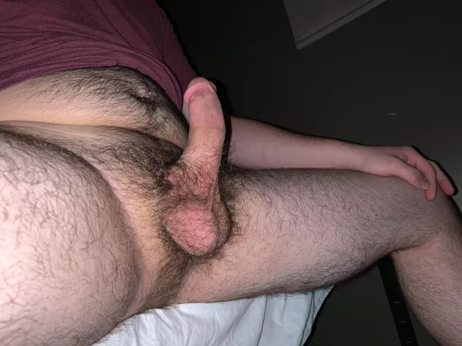 Good mornin bears by Cockmetal