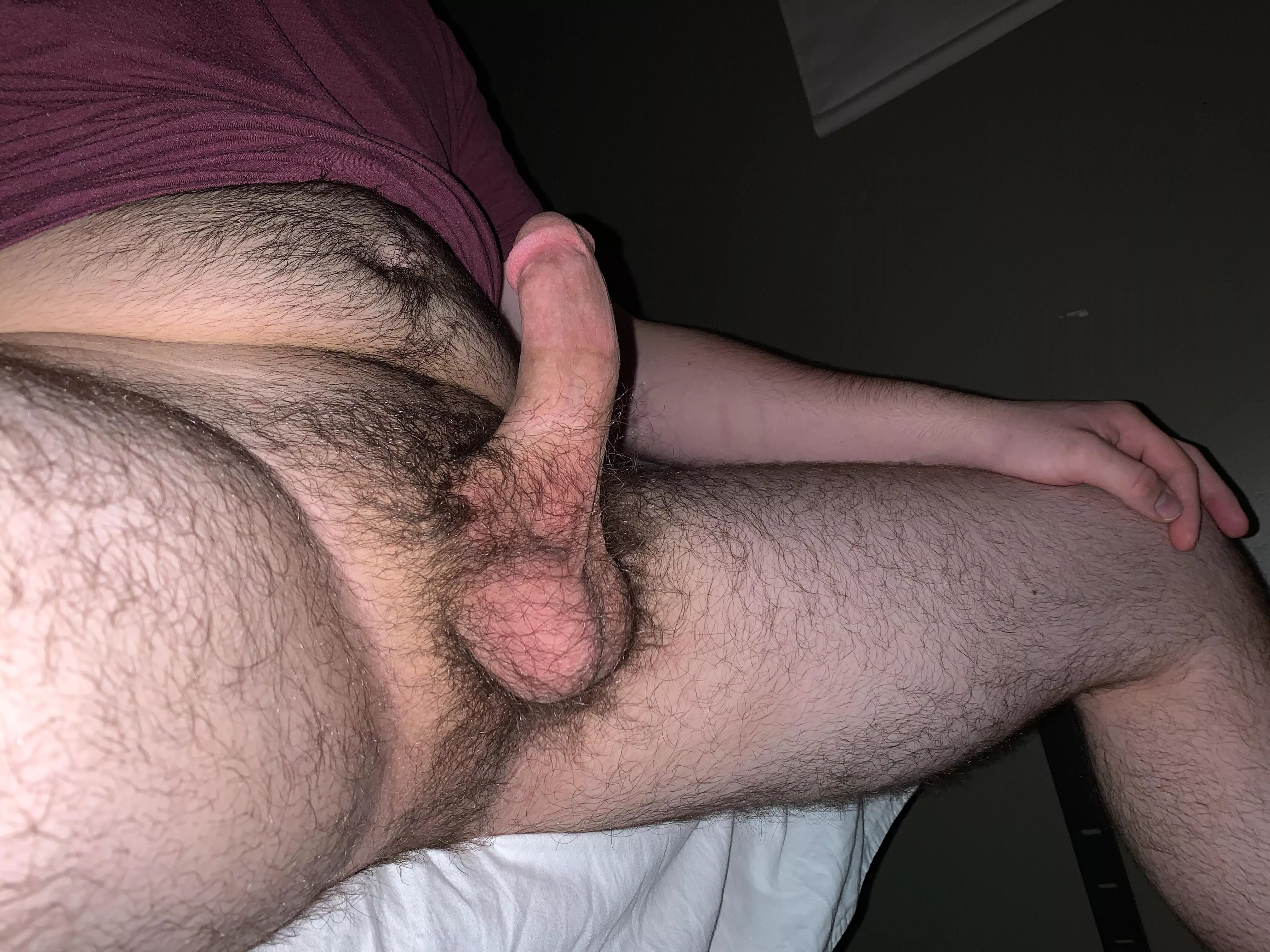 Good mornin bears posted by Cockmetal