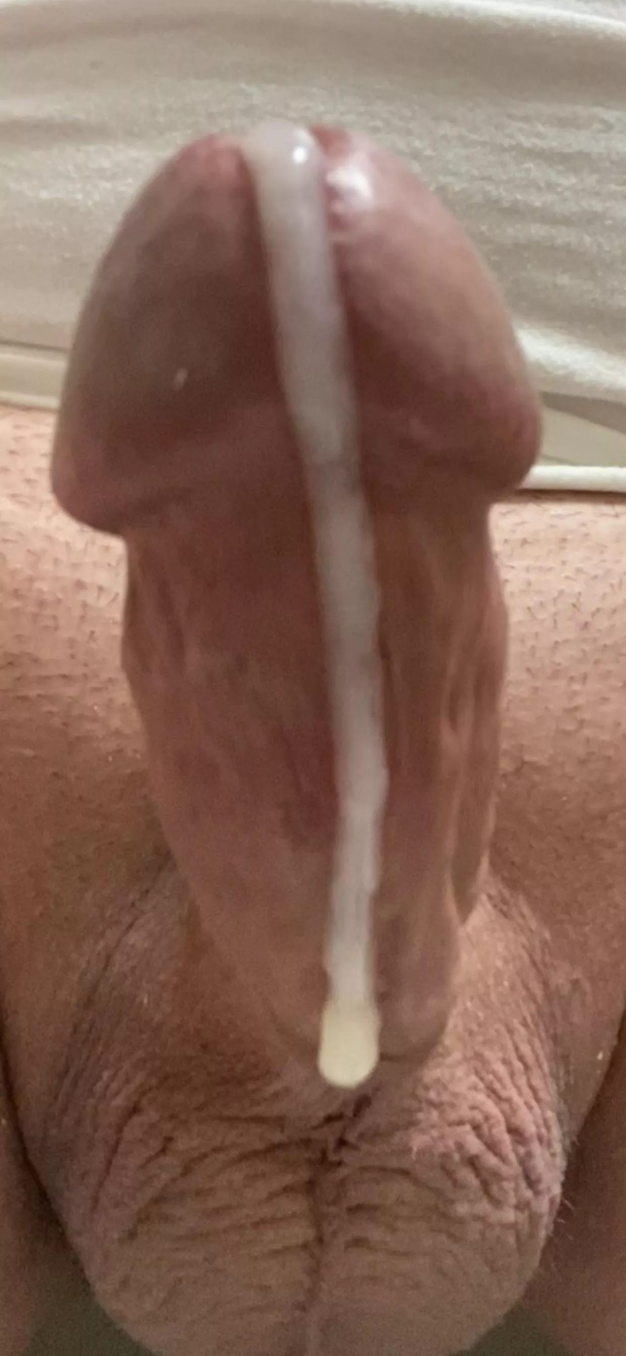 Good morning. posted by wwddd69