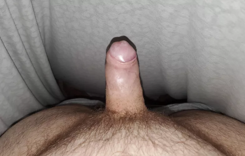 Good morning [42] by shortshafted1