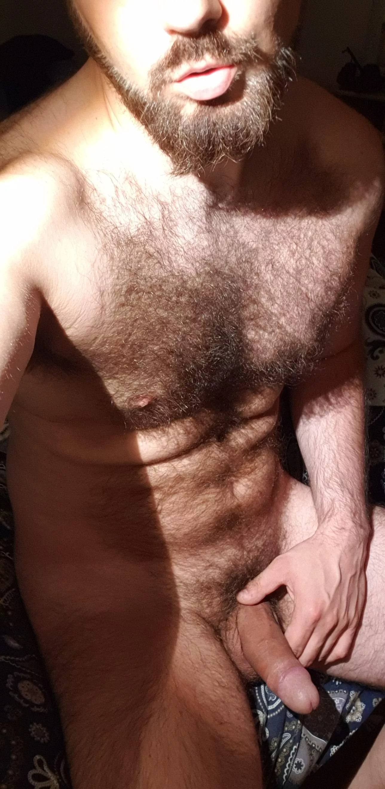 Good morning☺? posted by phalanxadditional