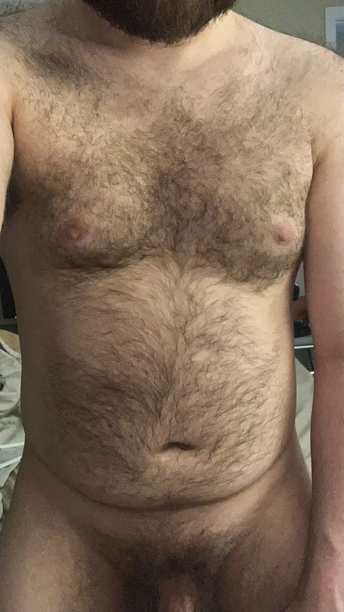 good morning posted by volibearcub