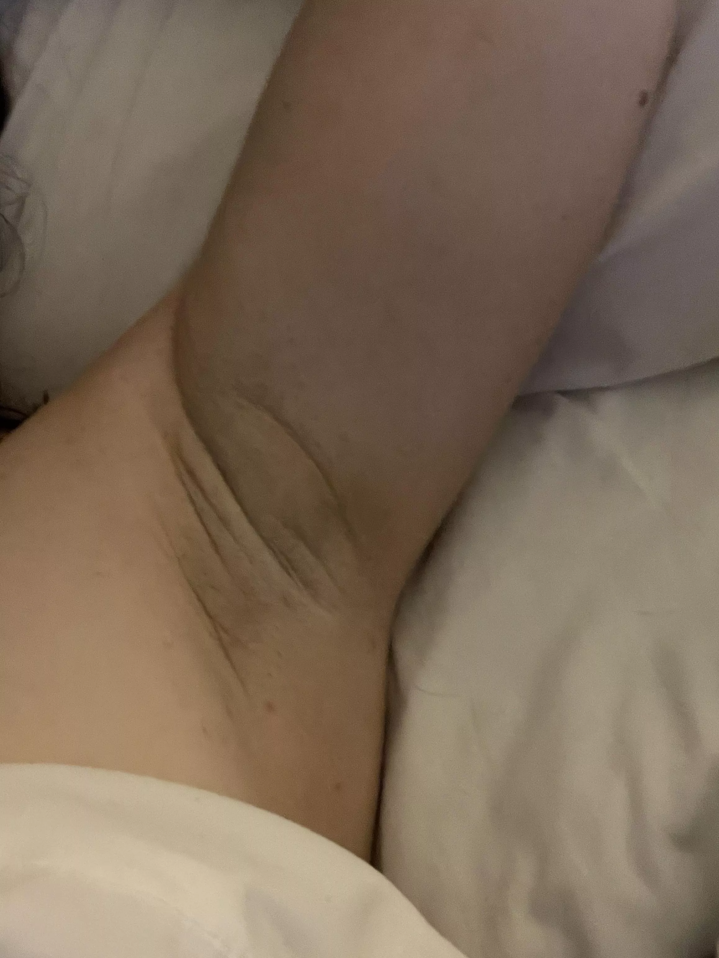 Good morning! posted by msbellamoon