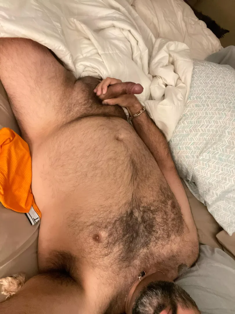 Good morning! posted by CaribbeanBear