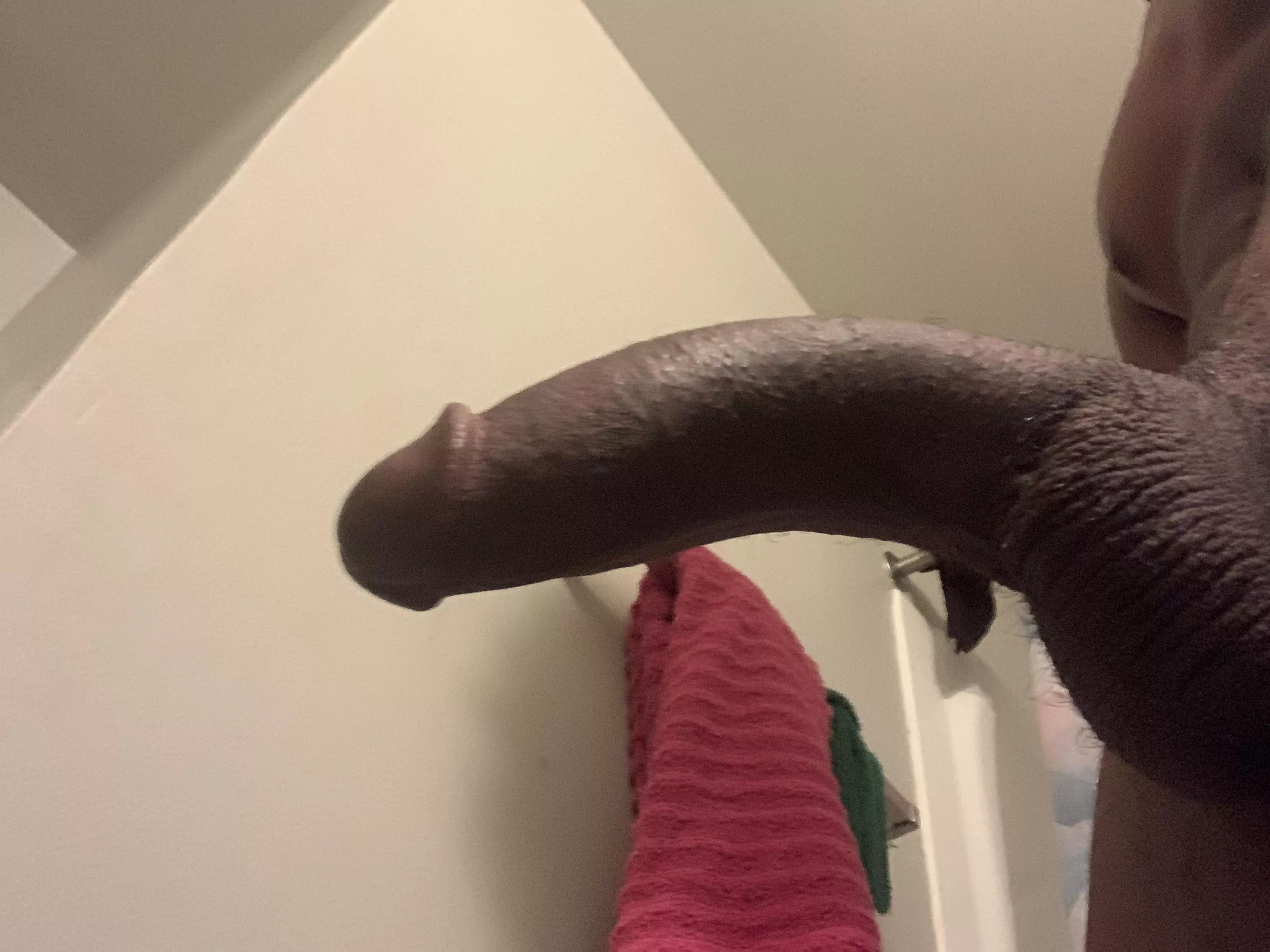 Good morning dm me ass and pussy pics posted by sinnerman637