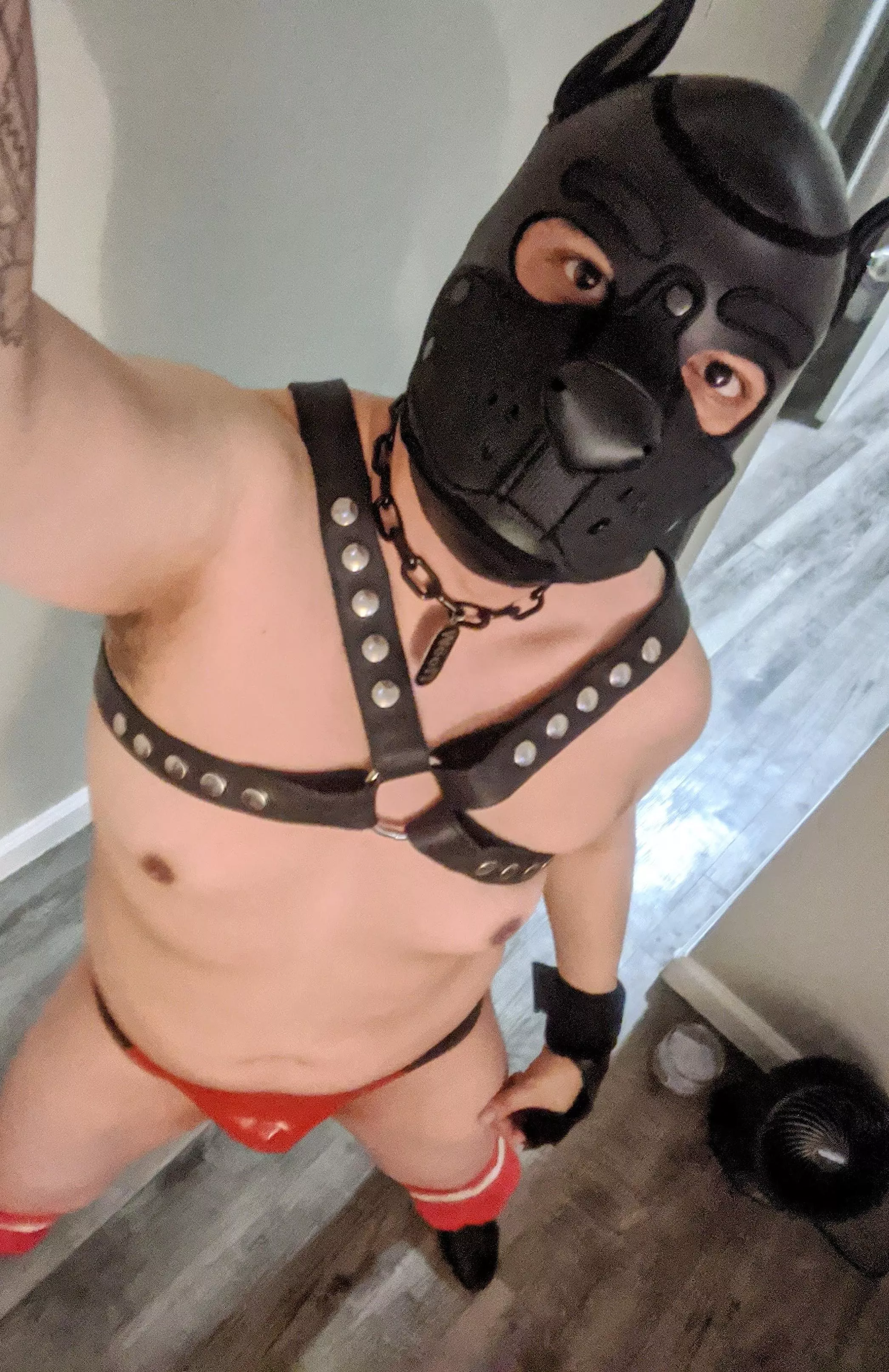 Good morning 🐾 posted by Expensive_Donkey442