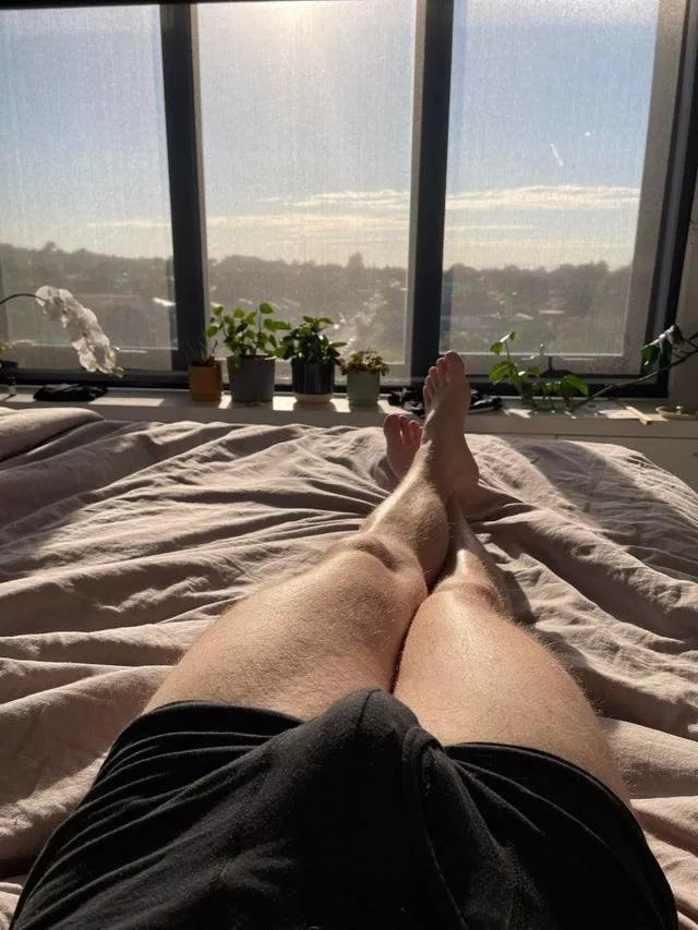 Good morning from my bed ☀️ posted by OLB23