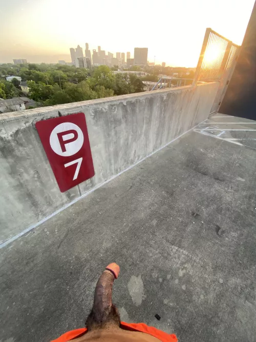 Good morning from my post run cool down spot. by Reptarmoose