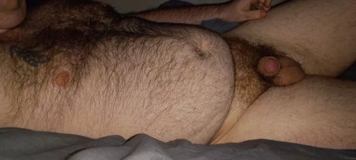 good morning happy tummy Tuesday posted by Typhoonking88