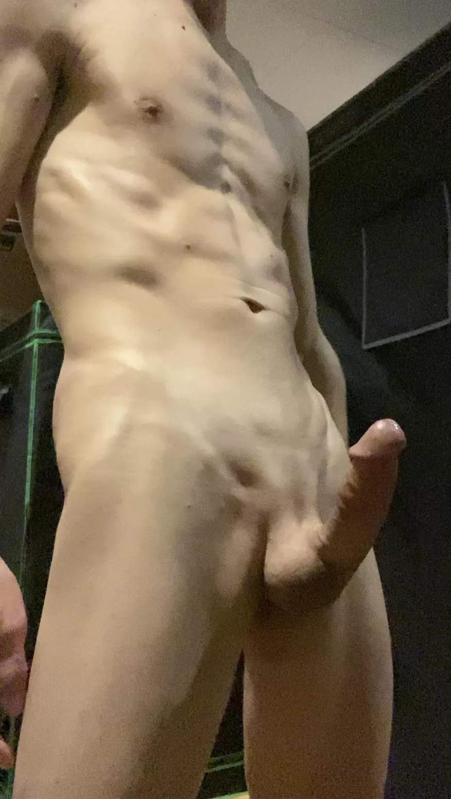 Good morning ☀️ 🪵 posted by MrPanteelover