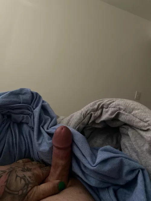 Good [m]orning lovelies by Both_Freedom3423