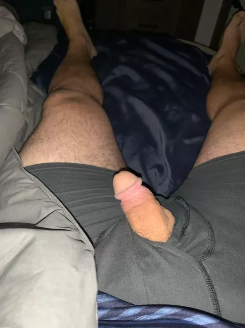 Good morning. My Little guy doesn’t like to be confined. (46) by Notsoyoungnotsodumb1