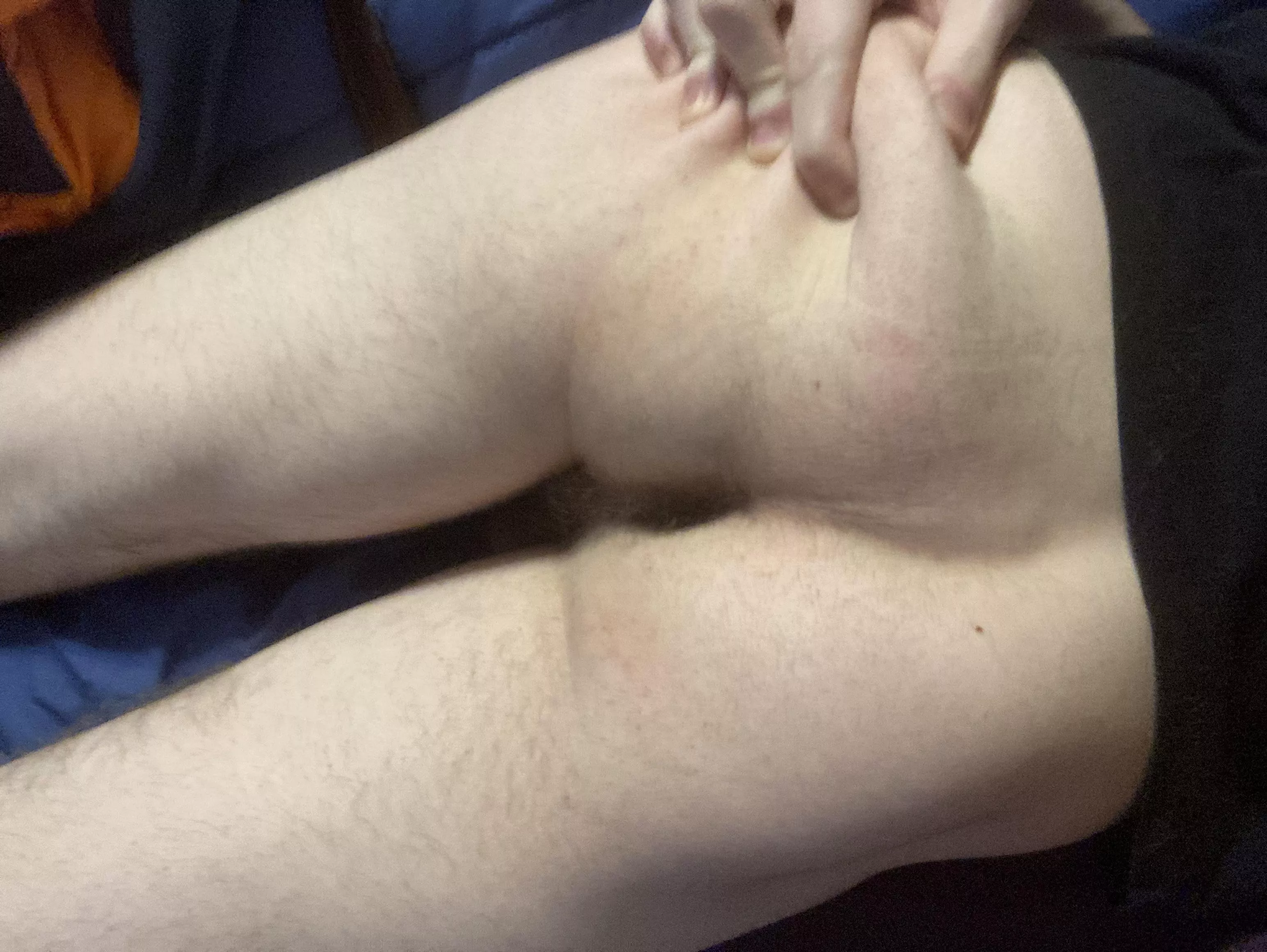 Good morning. Need a stud-muffin to cum mount me like a bull in heat. posted by willhebonkya96