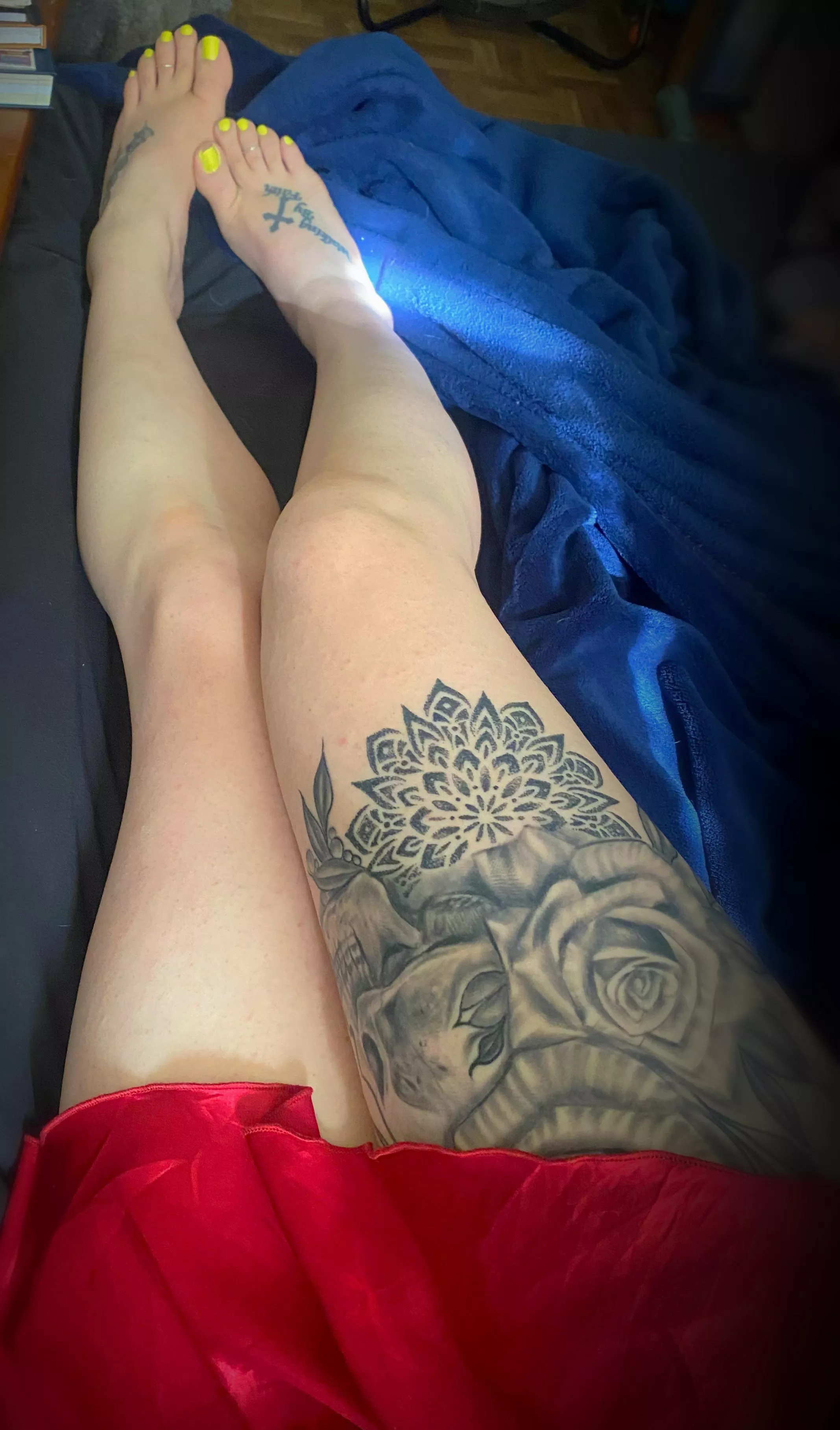 Good morning ☀️ posted by Charming_Amphibian29