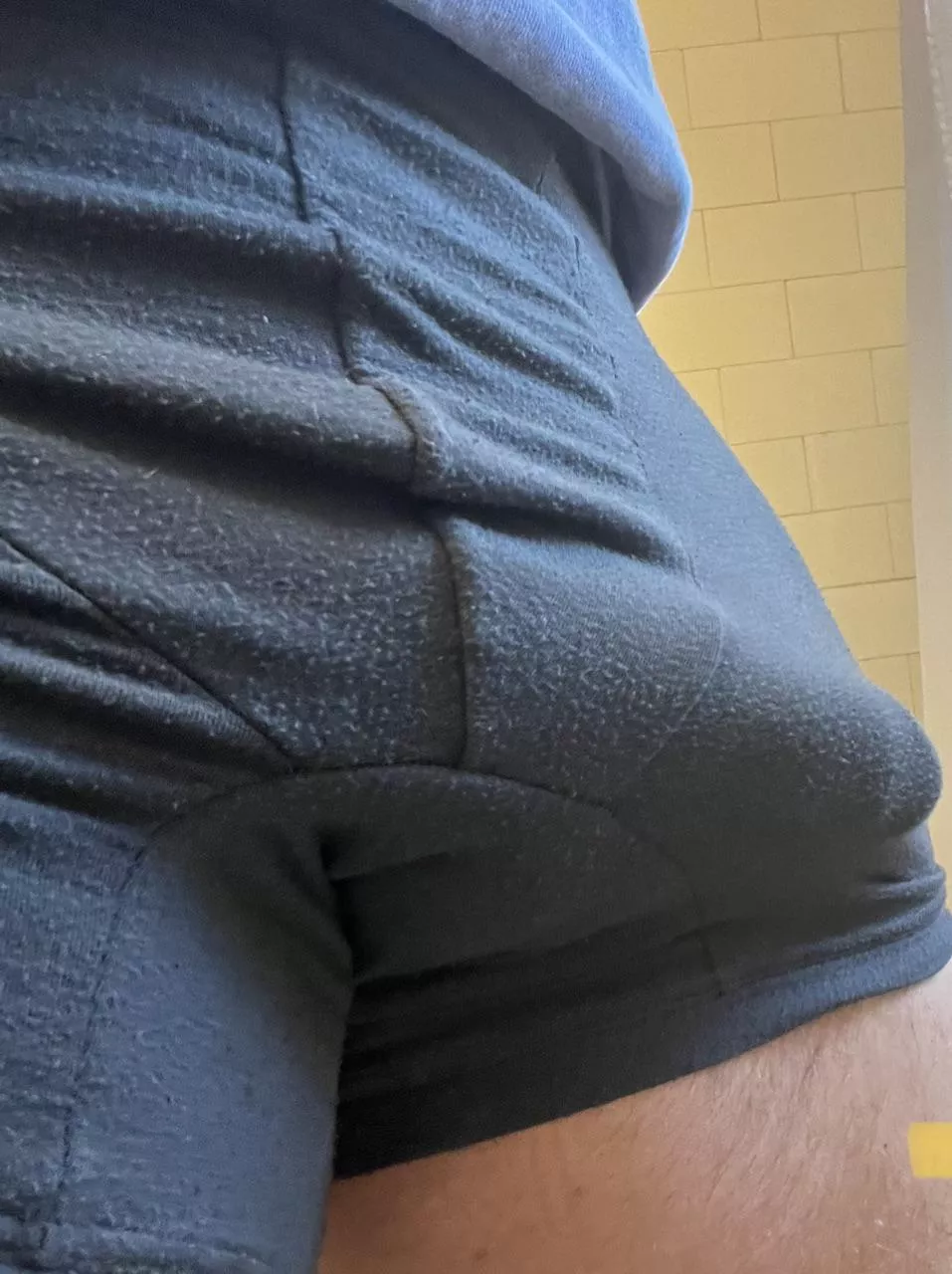 Good morning! posted by WalkshedBull