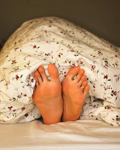 good morning, what’s for breakfast? by fifistoes