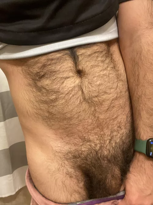 Good night hairy lovers by Fast-Recording2232