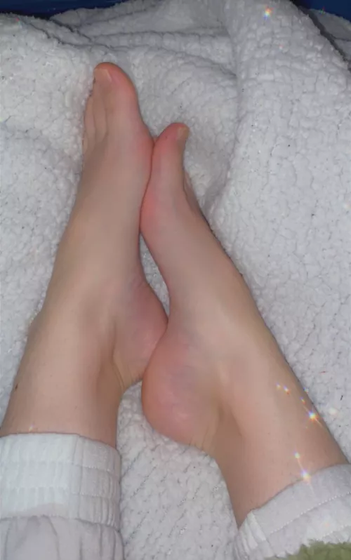 Goodnight from my plush blankets :) by hellasmagicalkitchen