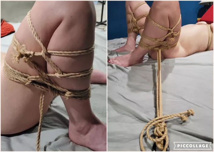 Gorgone Futomomo put to good use by dolphinguy_2000