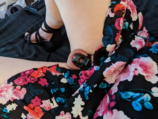 Got a new cage 🥰 by BigSissy24