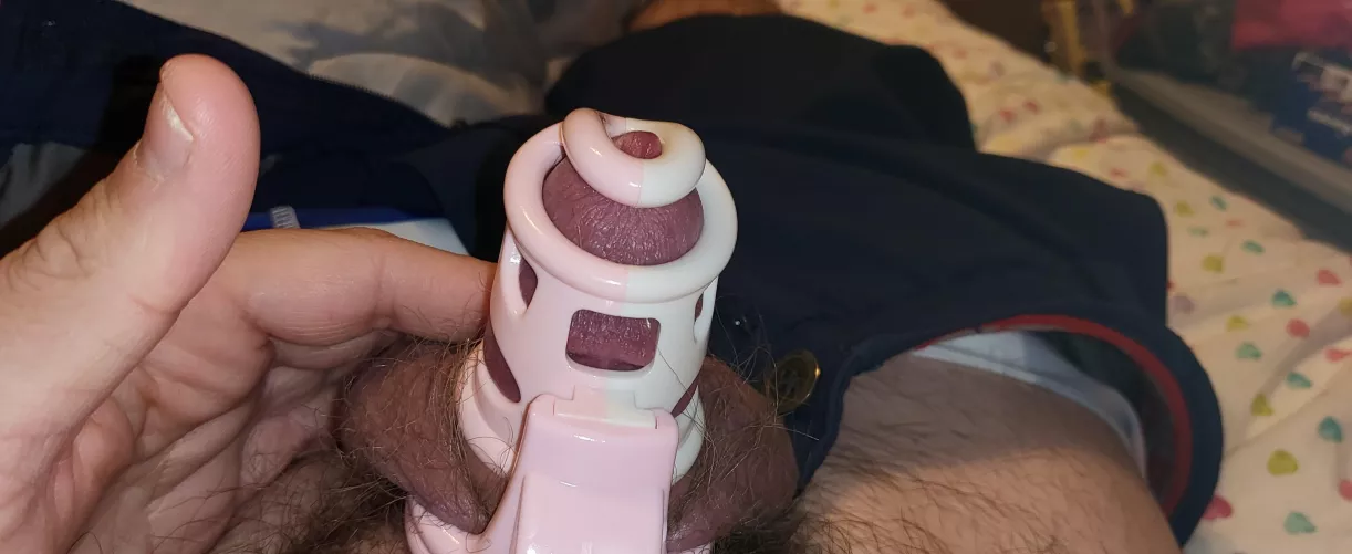 Got a new cage. ^-^ by caged_boi