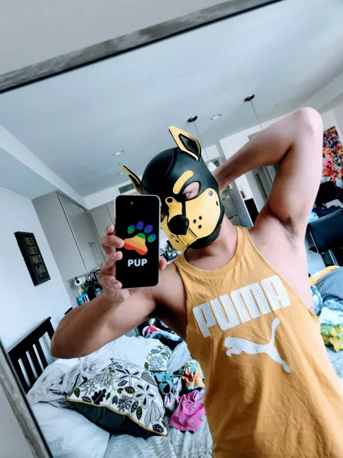 Got a new phone case! It's just the cutest pattern I could find 😁 by poke_pup