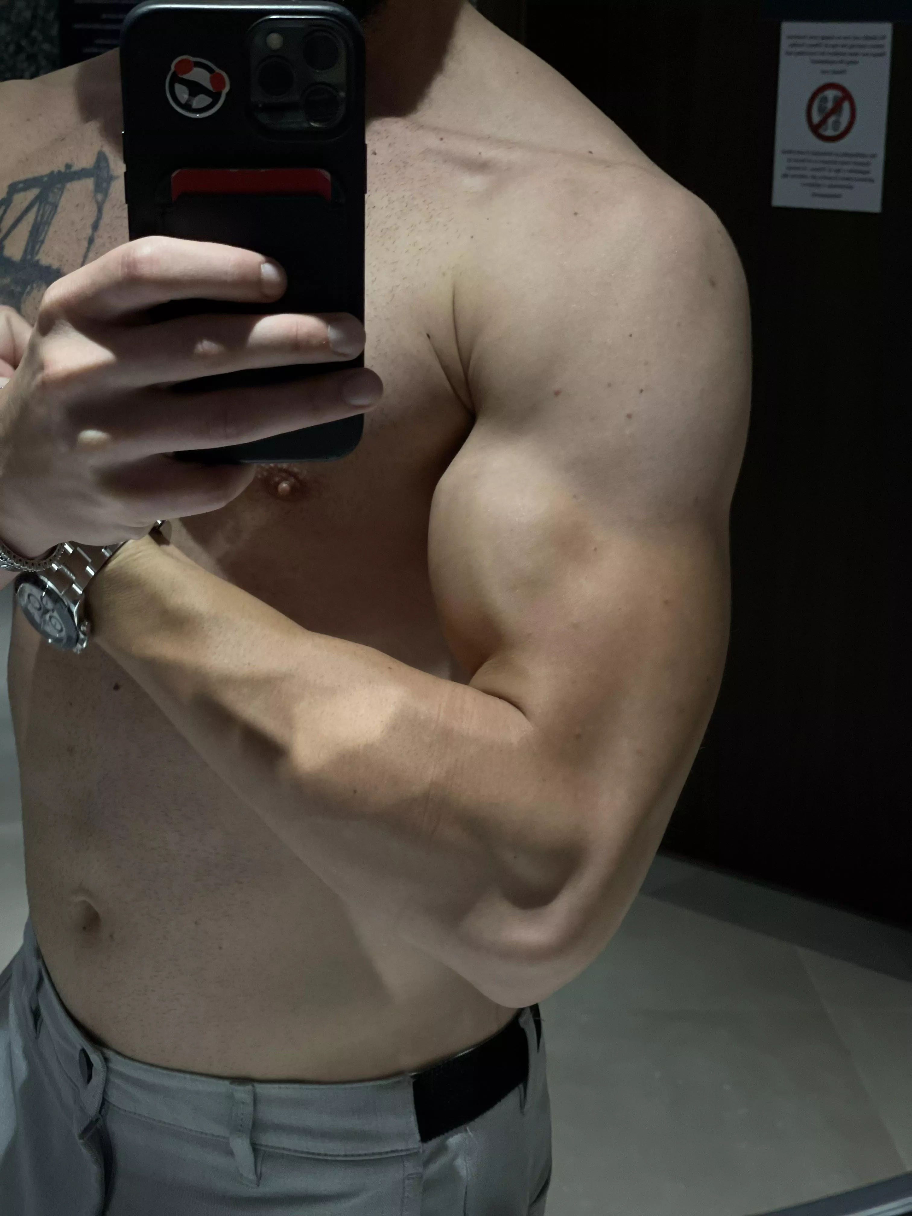 Got guns? posted by albish