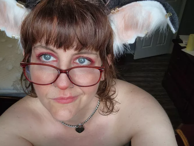 Got my big ears out by princesskittypet