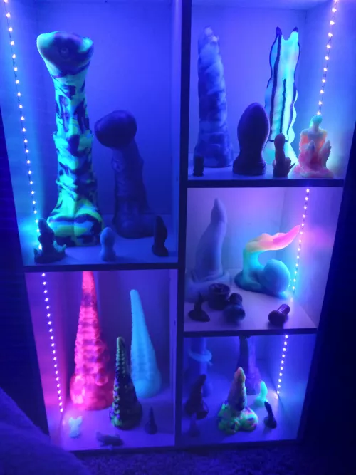 Got some lights finally! by norrington124