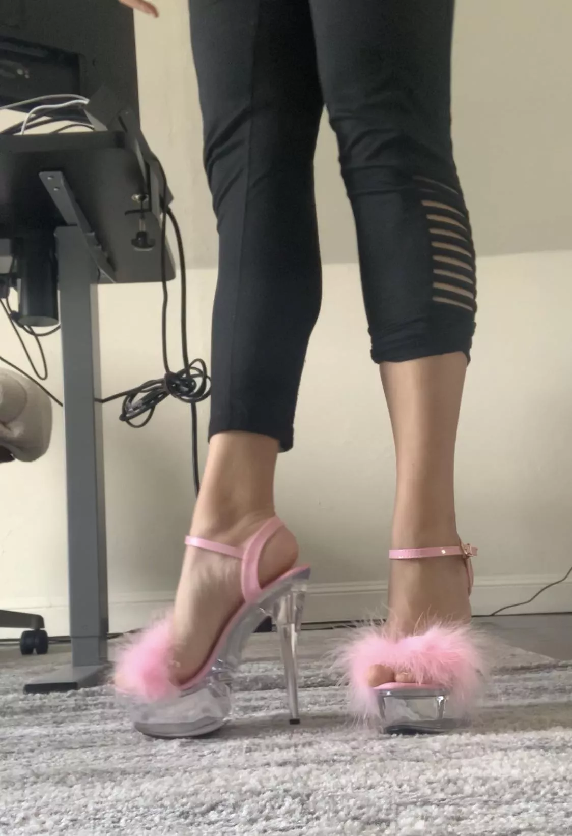 got some new fluffy ones 💕 posted by jaxangela