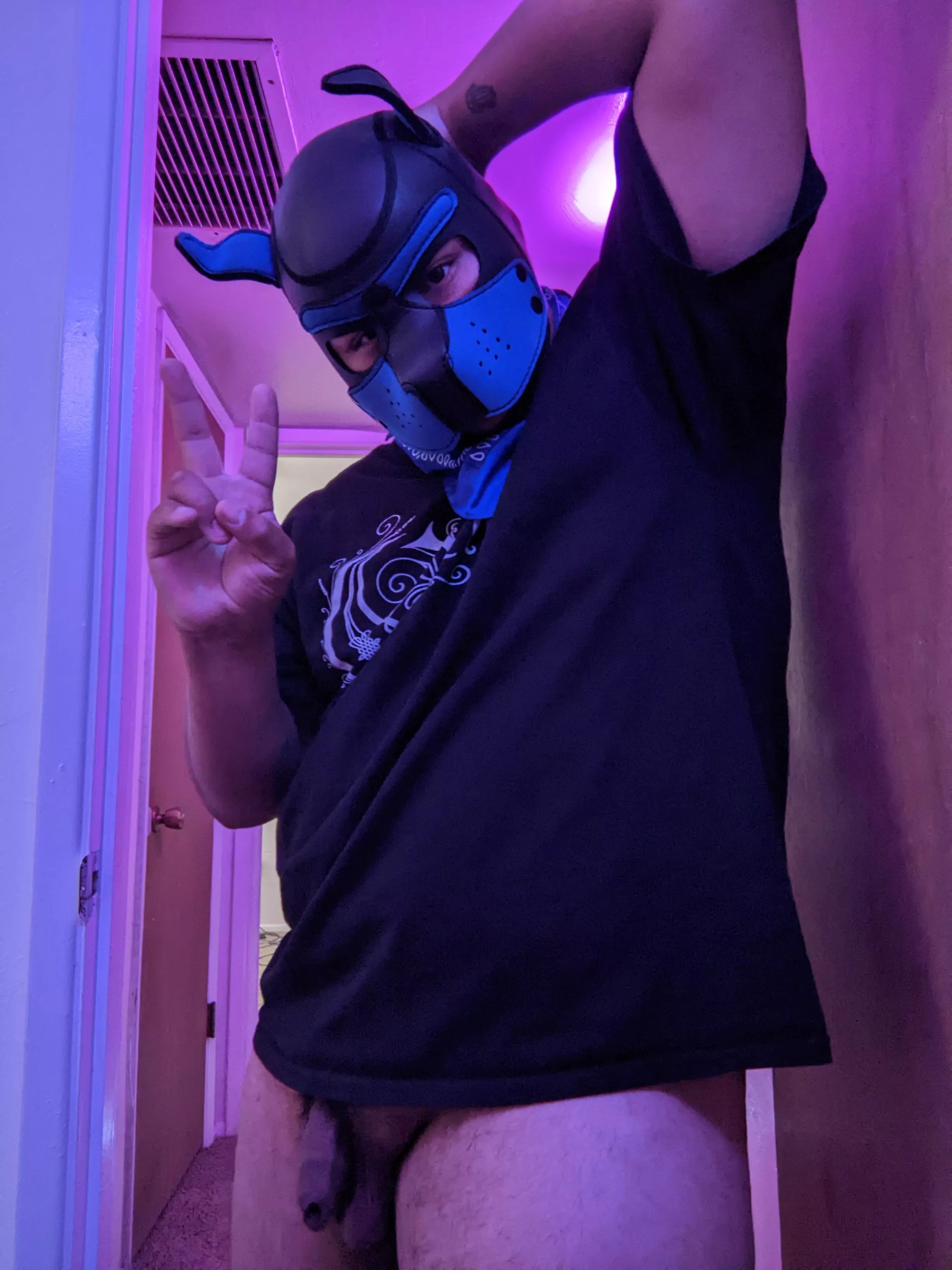 Got some new lights 🐾 posted by ghoststhatlikepie