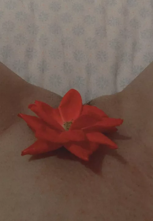 Got this idea from another gone wild subreddit ;) by sapphicsnacc13