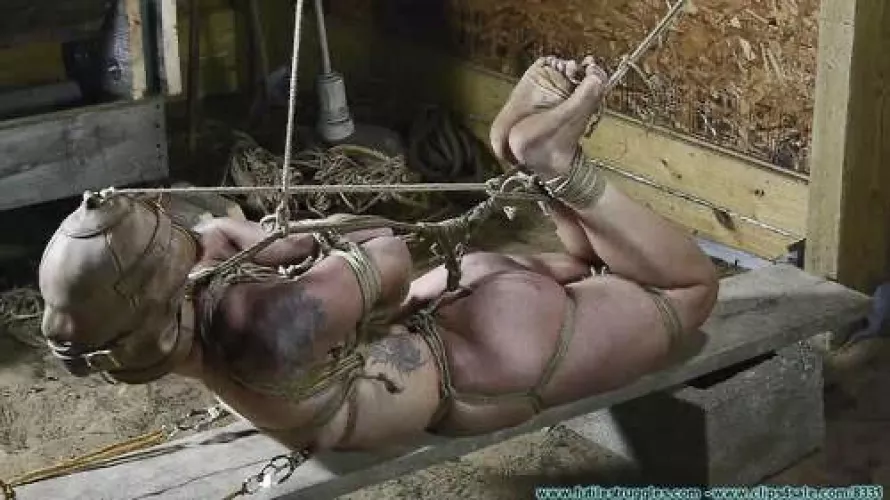 got to love them bound by ChubbyLilWolfsAlpha