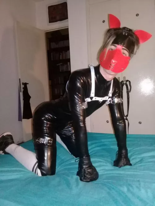 Got turned into a rubber pup today, my brain is shrinking 🦮 by MindlessAd8396